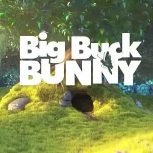 Self-hosted Video Example: Big Buck BUNNY